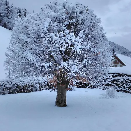 Apartmán Haus Kieler