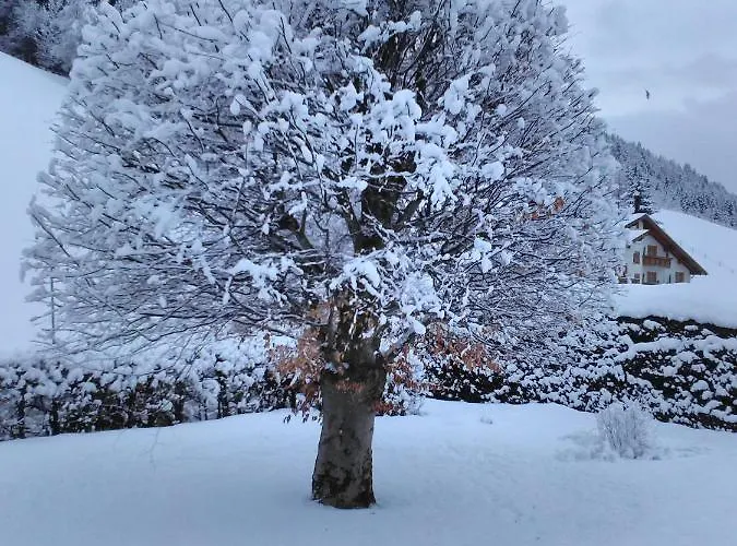 Appartement Haus Kieler
