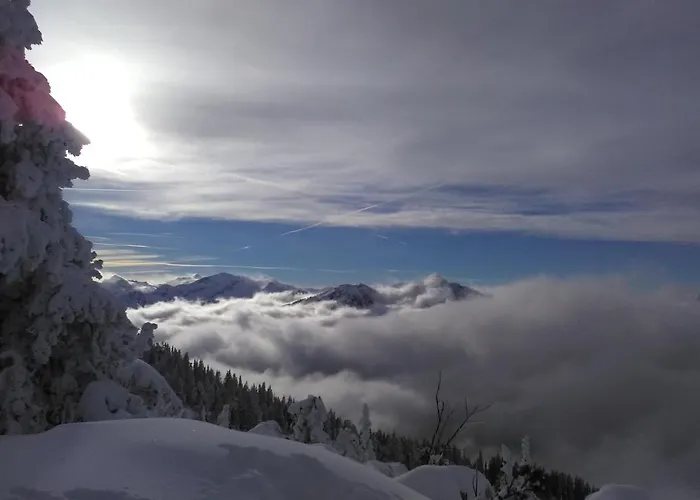 Haus Kieler Apartment